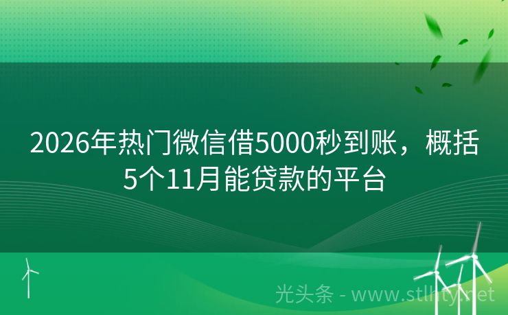 2026年热门微信借5000秒到账，概括5个11月能贷款的平台