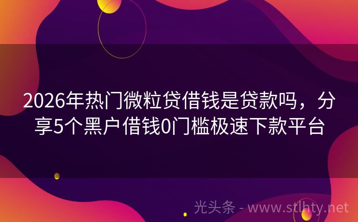 2026年热门微粒贷借钱是贷款吗，分享5个黑户借钱0门槛极速下款平台