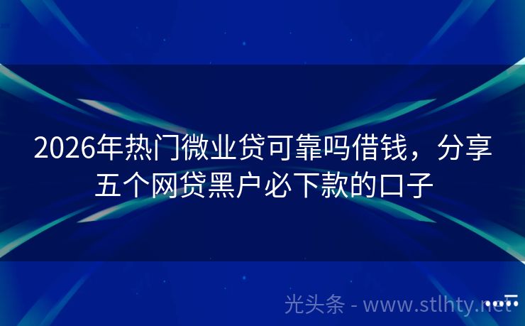 2026年热门微业贷可靠吗借钱，分享五个网贷黑户必下款的口子