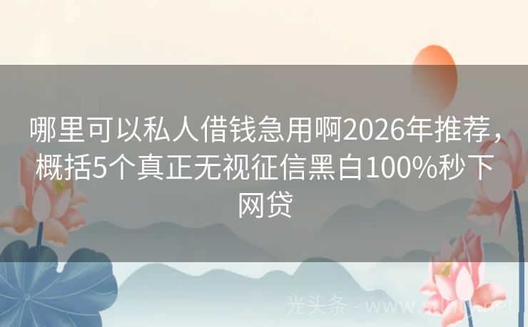 哪里可以私人借钱急用啊2026年推荐，概括5个真正无视征信黑白100%秒下网贷