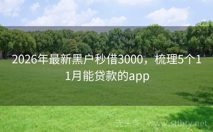 2026年最新黑户秒借3000，梳理5个11月能贷款的app