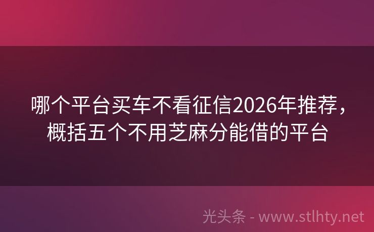 哪个平台买车不看征信2026年推荐，概括五个不用芝麻分能借的平台