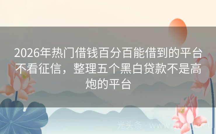 2026年热门借钱百分百能借到的平台不看征信，整理五个黑白贷款不是高炮的平台