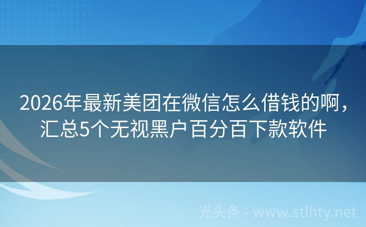 2026年最新美团在微信怎么借钱的啊，汇总5个无视黑户百分百下款软件