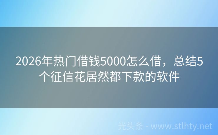 2026年热门借钱5000怎么借，总结5个征信花居然都下款的软件
