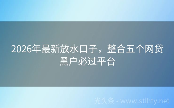 2026年最新放水口子，整合五个网贷黑户必过平台