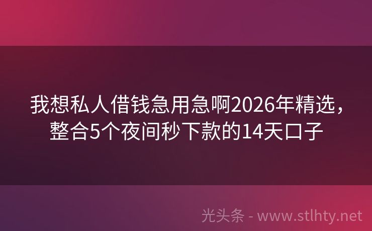 我想私人借钱急用急啊2026年精选，整合5个夜间秒下款的14天口子
