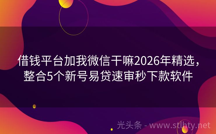 借钱平台加我微信干嘛2026年精选，整合5个新号易贷速审秒下款软件