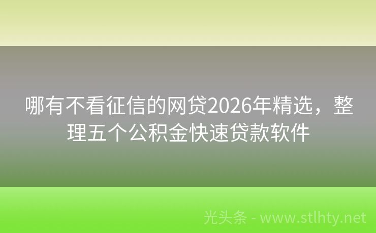哪有不看征信的网贷2026年精选，整理五个公积金快速贷款软件