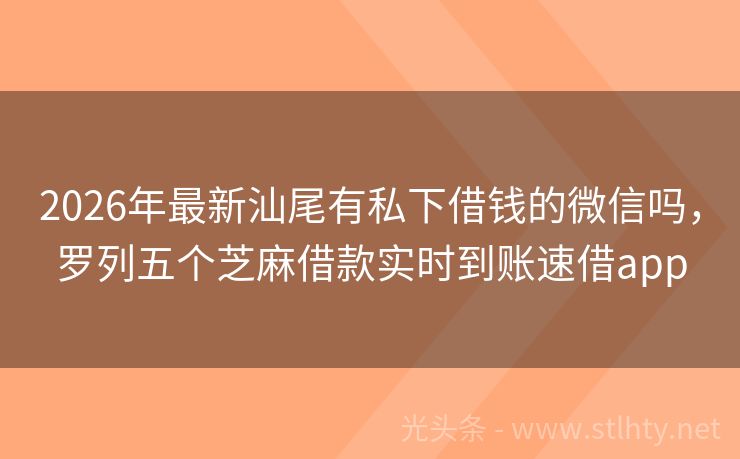 2026年最新汕尾有私下借钱的微信吗，罗列五个芝麻借款实时到账速借app