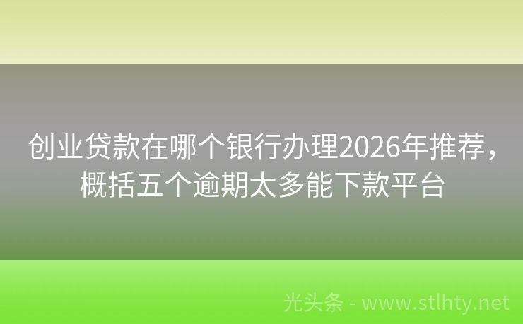 创业贷款在哪个银行办理2026年推荐，概括五个逾期太多能下款平台