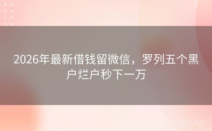 2026年最新借钱留微信，罗列五个黑户烂户秒下一万