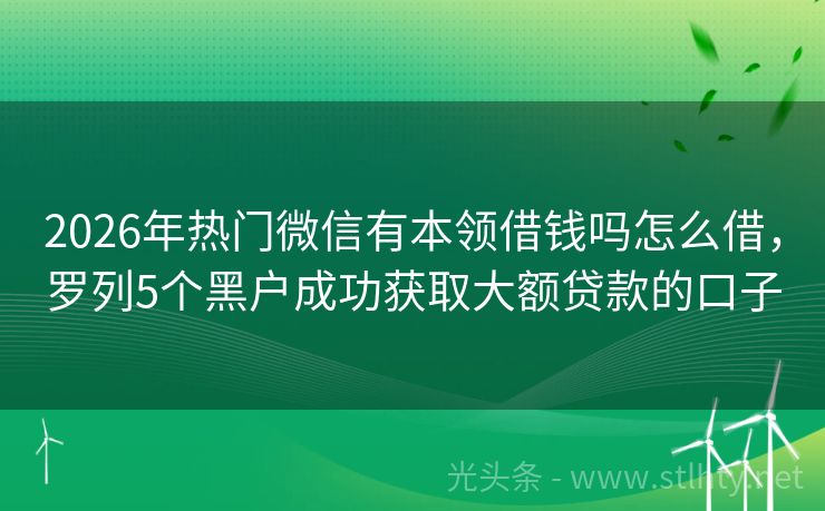 2026年热门微信有本领借钱吗怎么借，罗列5个黑户成功获取大额贷款的口子