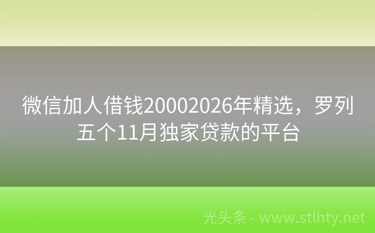微信加人借钱20002026年精选，罗列五个11月独家贷款的平台
