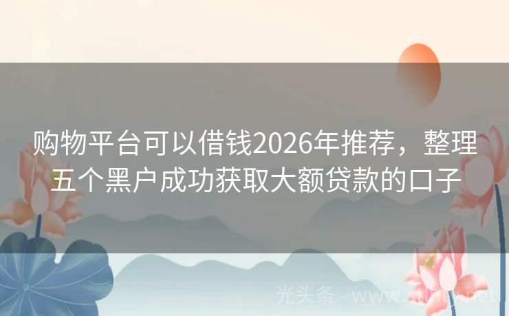 购物平台可以借钱2026年推荐，整理五个黑户成功获取大额贷款的口子