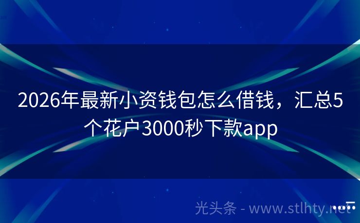 2026年最新小资钱包怎么借钱，汇总5个花户3000秒下款app
