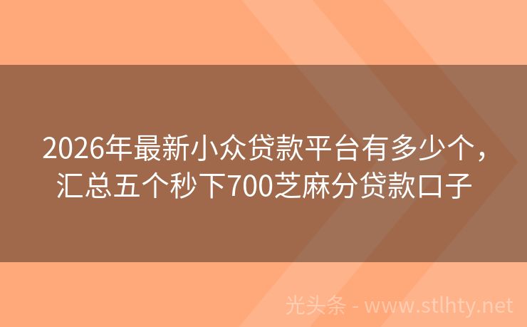 2026年最新小众贷款平台有多少个，汇总五个秒下700芝麻分贷款口子