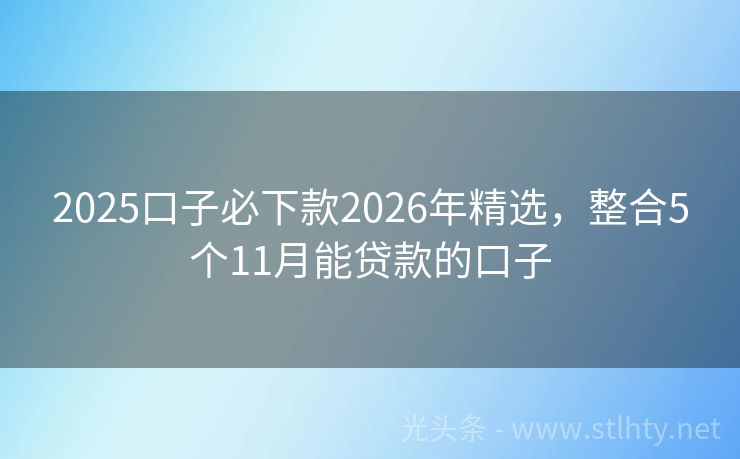 2025口子必下款2026年精选，整合5个11月能贷款的口子