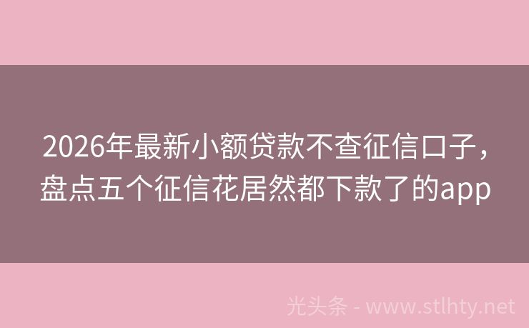2026年最新小额贷款不查征信口子，盘点五个征信花居然都下款了的app