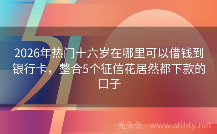 2026年热门十六岁在哪里可以借钱到银行卡，整合5个征信花居然都下款的口子