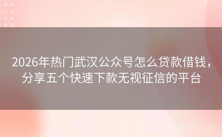 2026年热门武汉公众号怎么贷款借钱，分享五个快速下款无视征信的平台