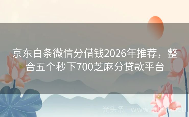 京东白条微信分借钱2026年推荐，整合五个秒下700芝麻分贷款平台