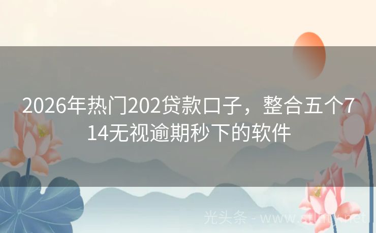 2026年热门202贷款口子，整合五个714无视逾期秒下的软件