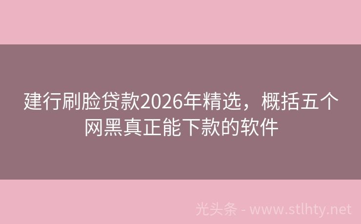 建行刷脸贷款2026年精选，概括五个网黑真正能下款的软件