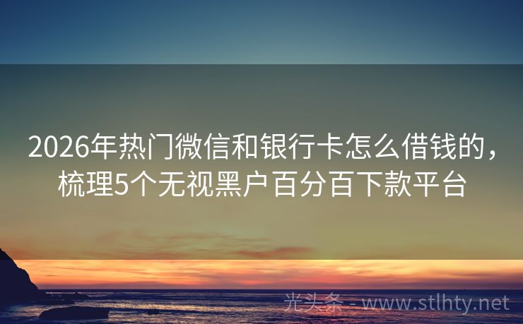2026年热门微信和银行卡怎么借钱的，梳理5个无视黑户百分百下款平台