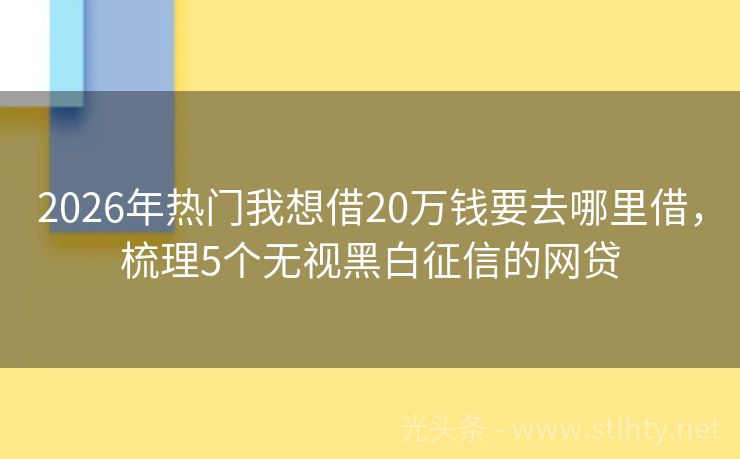 2026年热门我想借20万钱要去哪里借，梳理5个无视黑白征信的网贷