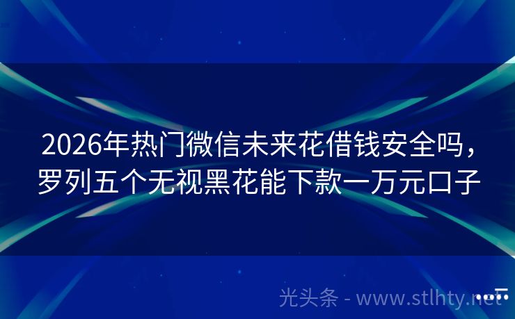 2026年热门微信未来花借钱安全吗，罗列五个无视黑花能下款一万元口子