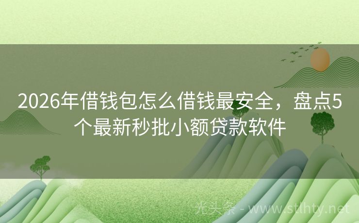 2026年借钱包怎么借钱最安全，盘点5个最新秒批小额贷款软件
