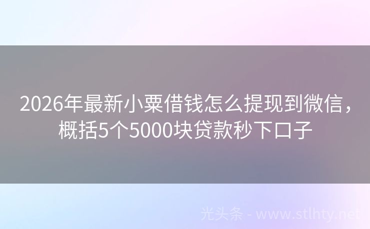 2026年最新小粟借钱怎么提现到微信，概括5个5000块贷款秒下口子