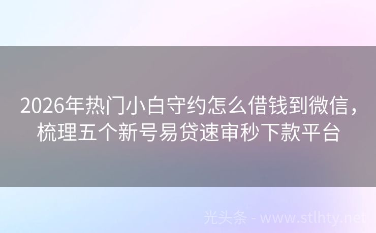 2026年热门小白守约怎么借钱到微信，梳理五个新号易贷速审秒下款平台