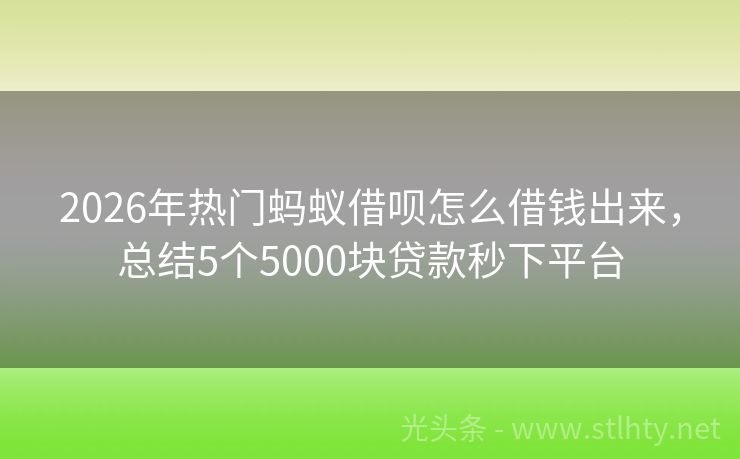 2026年热门蚂蚁借呗怎么借钱出来，总结5个5000块贷款秒下平台