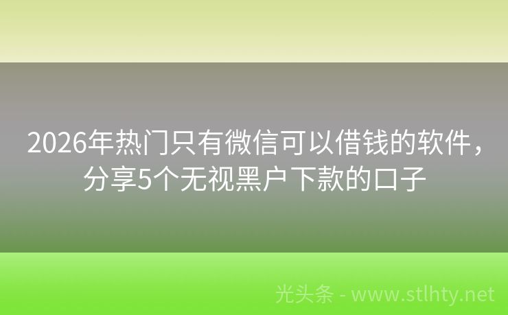 2026年热门只有微信可以借钱的软件，分享5个无视黑户下款的口子