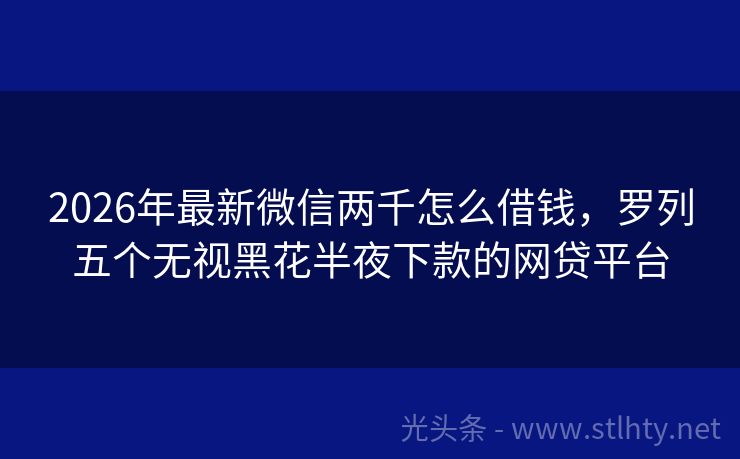 2026年最新微信两千怎么借钱，罗列五个无视黑花半夜下款的网贷平台