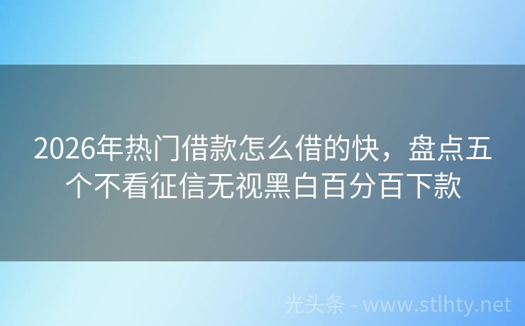 2026年热门借款怎么借的快，盘点五个不看征信无视黑白百分百下款