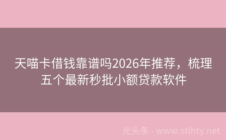 天喵卡借钱靠谱吗2026年推荐，梳理五个最新秒批小额贷款软件