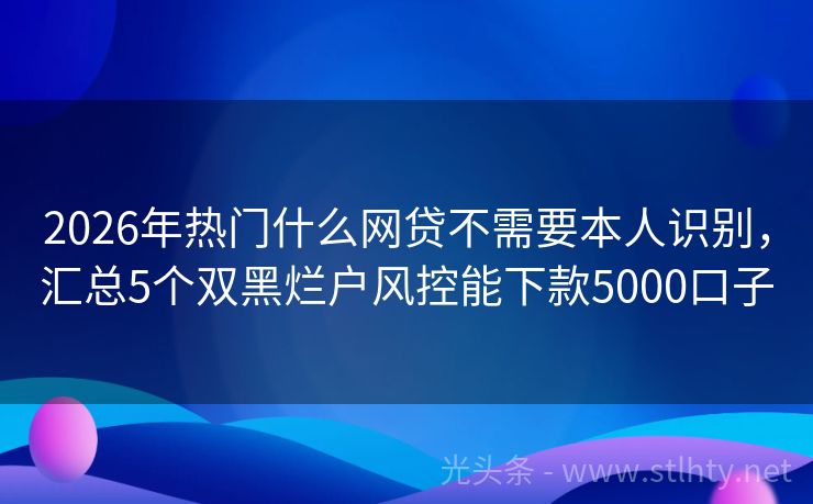 2026年热门什么网贷不需要本人识别，汇总5个双黑烂户风控能下款5000口子