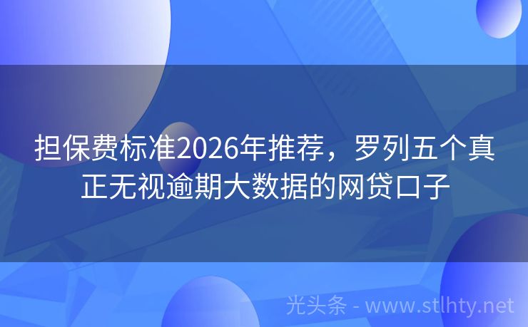 担保费标准2026年推荐，罗列五个真正无视逾期大数据的网贷口子