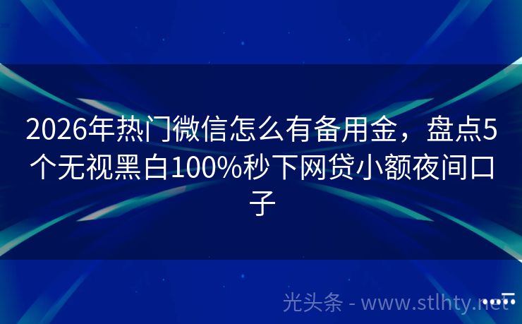 2026年热门微信怎么有备用金，盘点5个无视黑白100%秒下网贷小额夜间口子