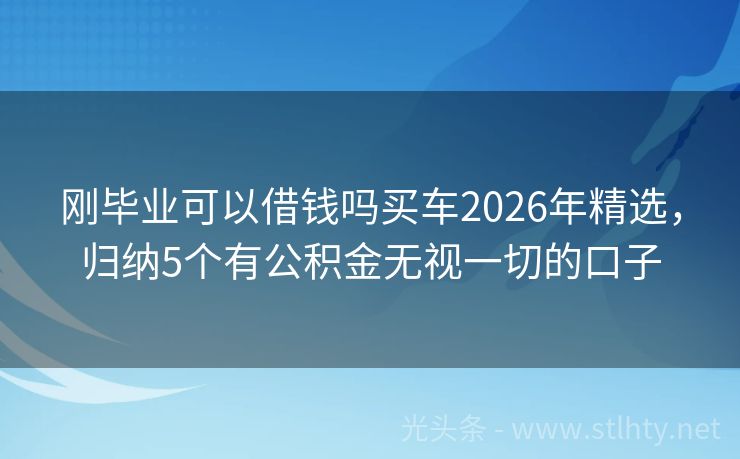 刚毕业可以借钱吗买车2026年精选，归纳5个有公积金无视一切的口子