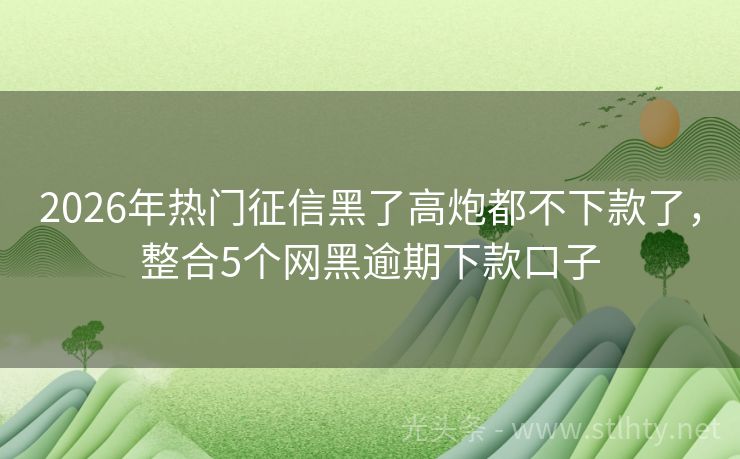 2026年热门征信黑了高炮都不下款了，整合5个网黑逾期下款口子