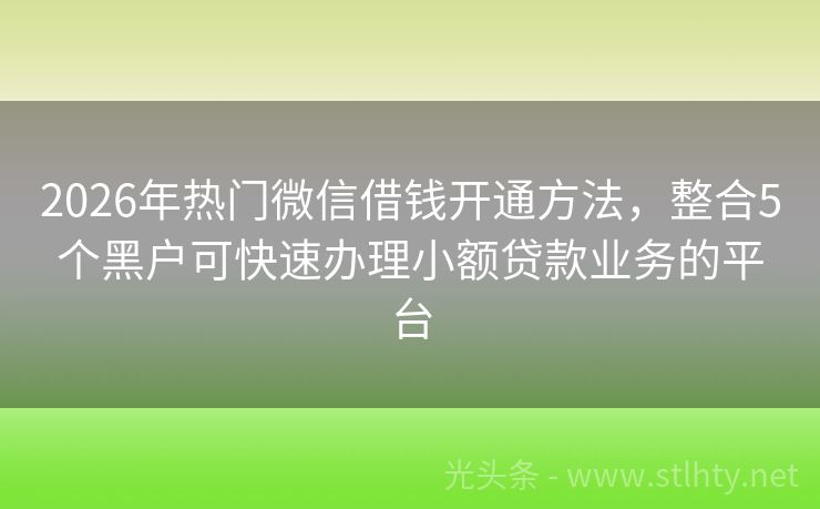 2026年热门微信借钱开通方法，整合5个黑户可快速办理小额贷款业务的平台