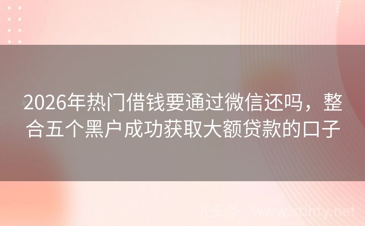 2026年热门借钱要通过微信还吗，整合五个黑户成功获取大额贷款的口子