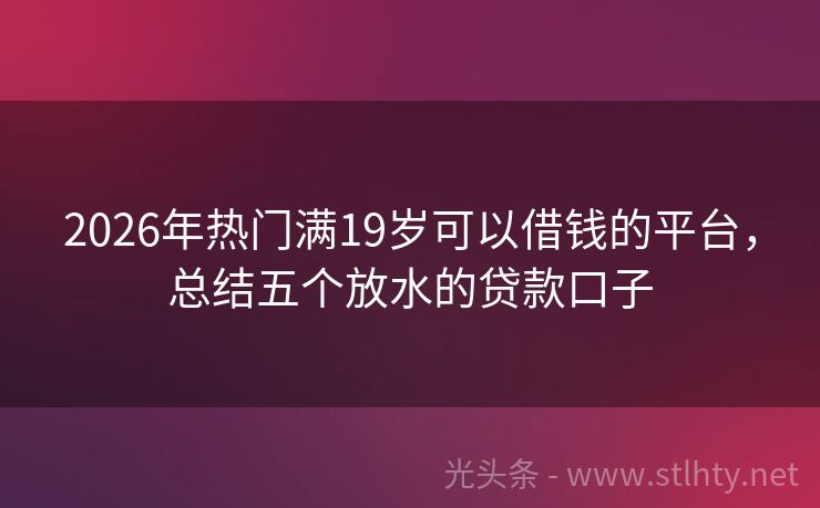 2026年热门满19岁可以借钱的平台，总结五个放水的贷款口子