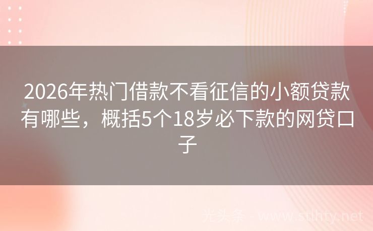 2026年热门借款不看征信的小额贷款有哪些，概括5个18岁必下款的网贷口子