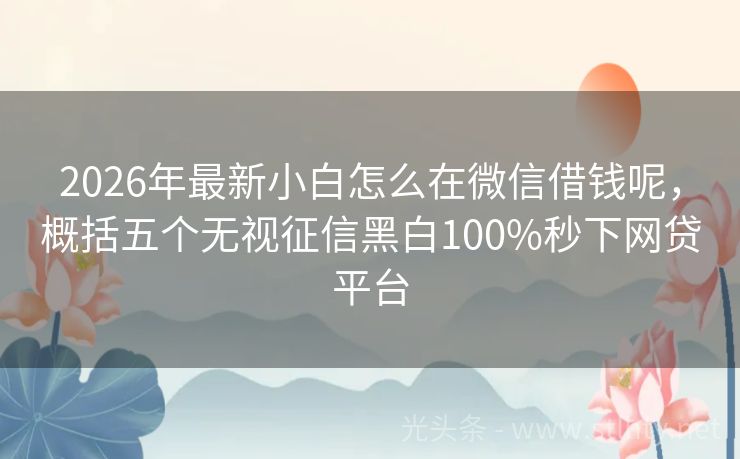 2026年最新小白怎么在微信借钱呢，概括五个无视征信黑白100%秒下网贷平台