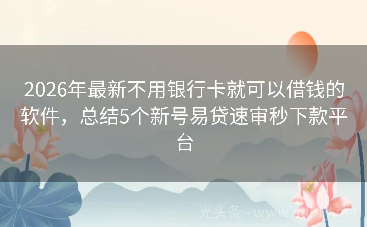 2026年最新不用银行卡就可以借钱的软件，总结5个新号易贷速审秒下款平台